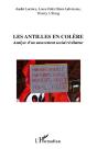 Les Antilles En Colère ; Analyse D'Un Mouvement Social Révélateur - Preview