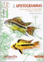 Les Apistogrammas - Apistogramma Cacatuoides & Espèces Proches - Preview
