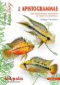 Les Apistogrammas Tome 2 - Preview