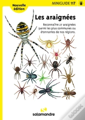 Capa do artigo Les Araignées