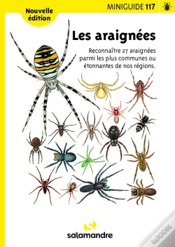 Capa do artigo Les Araignées