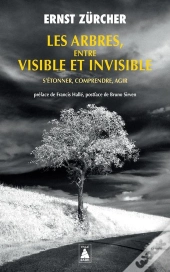 Les Arbres, Entre Visible Et Invisible : S'Étonner, Comprendre, Agir