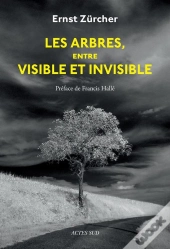 Les Arbres, Entre Visible Et Invisible : S'Étonner, Comprendre, Agir
