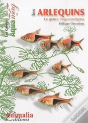 Capa do artigo Les Arlequins