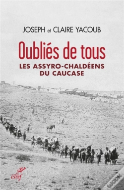 Capa do artigo Les Assyro-Chaldeens Du Causas