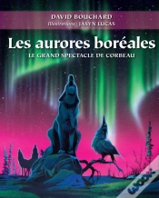 Capa do artigo Les Aurores Boréales : Le Grand Spectacle De Corbeau