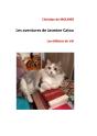 Les Aventures De Jasmine Catou - Preview