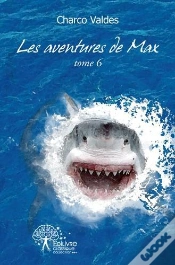 Capa do artigo Les Aventures De Max (Tome 6)