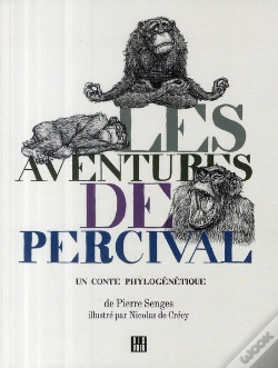 Capa do artigo Les Aventures De Percival