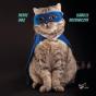 Les Aventures De Supercat - Preview