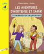 Les Aventures D'Hortense Et Samir  - Niveau 3 - Preview
