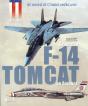 Les Avions De Combat Américains ; Grumman F-14 Tomcat Au Combat (1972-2006) - Preview