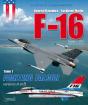 Les Avions De Combat Américains Tome 1 ; F-16 Fighting Falcon, Versions A Et B - Preview