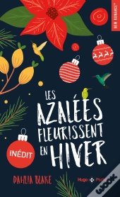 Les Azalées Fleurissent En Hiver