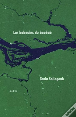 Capa do artigo Les Babouins Du Baobab