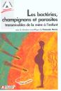 Les Bacteries Champignons Et Parasites Transmissibles De La Mere A L'Enfant - Preview