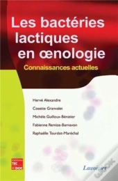 Les Bactéries Lactiques En ?Nologie : Connaissances Actuelles