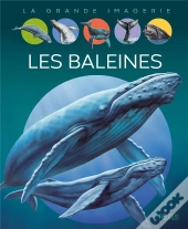 Les Baleines