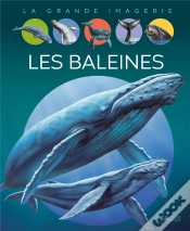 Capa do artigo Les Baleines
