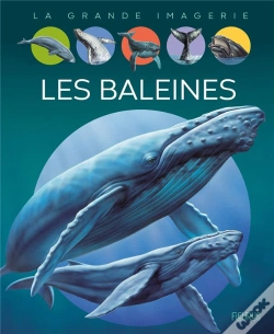 Capa do artigo Les Baleines
