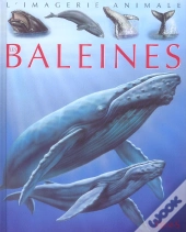 Les Baleines 