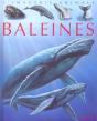 Les Baleines  - Preview