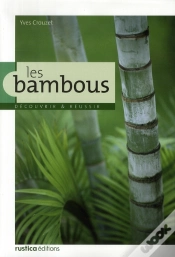 Capa do artigo Les Bambous