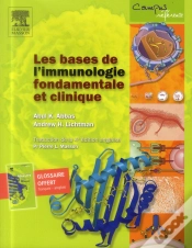 Capa do artigo Les Bases De L