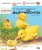 Les Bébés Animaux - Preview