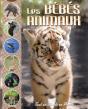 Les Bébés Animaux - Preview