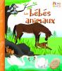 Les Bébés Animaux - Preview