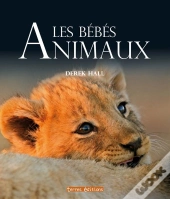 Les Bébés Animaux