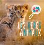 Les Bébés Animaux - Preview