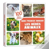 Les Bébés Animaux