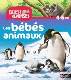 Capa do artigo Les Bebes Animaux