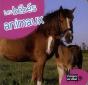 Les Bebes Animaux - Preview