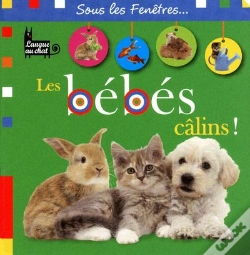 Capa do artigo Les Bebes Calins Sous Les Fenetres