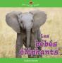 Les Bebes Elephants - Preview