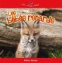 Les Bebes Renards - Preview