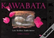 Capa do artigo Les Belles Endormies