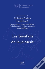 Capa do artigo Les Bienfaits De La Jalousie