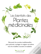 Capa do artigo Les Bienfaits Des Plantes Medicinales