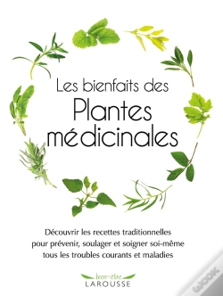 Capa do artigo Les Bienfaits Des Plantes Medicinales