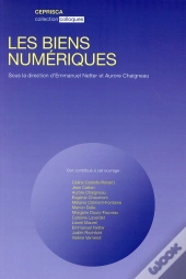 Les Biens Numériques