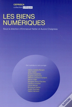 Capa do artigo Les Biens Numériques