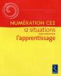 Les Bons Gestes Professionnels De L'Enseignant ; Numération Cp ; 15 Situations Pour Consolider L'Apprentissage - Preview