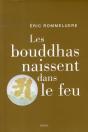 Les Bouddhas Naissent Dans Le Feu - Preview