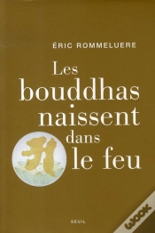 Capa do artigo Les Bouddhas Naissent Dans Le Feu