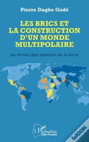 Capa do artigo Les Brics Et La Construction D