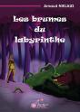 Les Brumes Du Labyrinthe - Preview